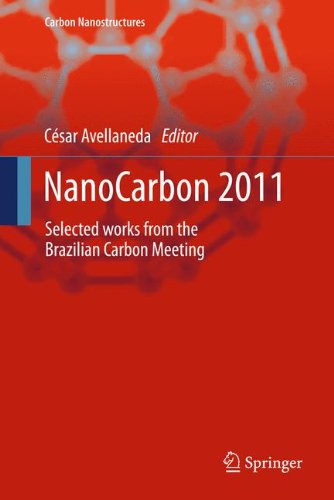 NanoCarbon 2011: Selected works from the Brazilian Carbon Meeting (Carbon Nanostructures)