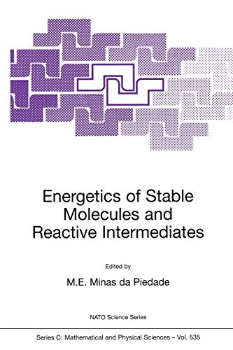 Energetics of Stable Molecules and Reactive Intermediates (Nato Science Series C:, 535, Band 535)