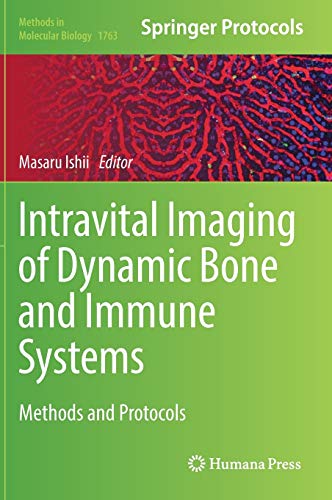 Intravital Imaging of Dynamic Bone and Immune Systems: Methods and Protocols (Methods in Molecular Biology, 1763, Band 1763)