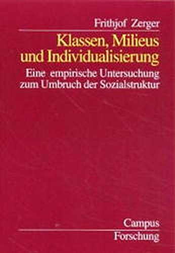 Klassen, Milieus und Individualisierung: Eine empirische Untersuchung zum Umbruch der Sozialstruktur (Campus Forschung)