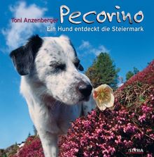 Pecorino, Ein Hund entdeckt die Steiermark