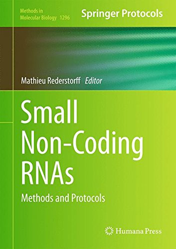 Small Non-Coding RNAs: Methods and Protocols (Methods in Molecular Biology)