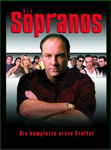 Die Sopranos - Die komplette erste Staffel (6 DVDs) | DVD | Zustand gut