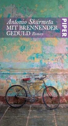 Mit brennender Geduld: Roman