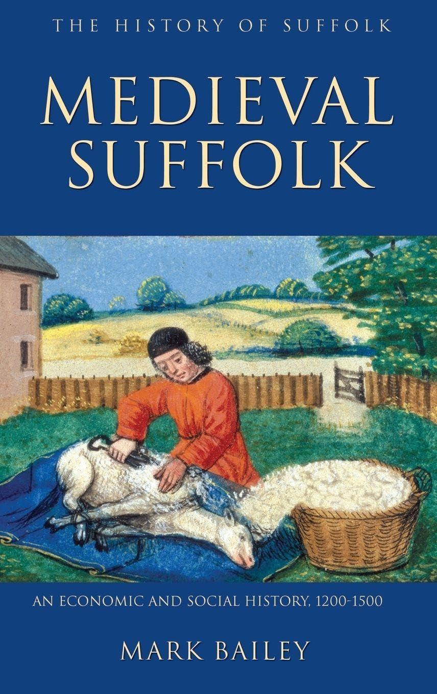 Medieval Suffolk: An Economic and Social History, 1200-1500 (History of Suffolk, 1, Band 1)