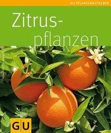 Zitruspflanzen (Pflanzenratgeber) von Hans-Peter Maier | Buch | Zustand sehr gut