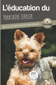 L'éducation du yorkshire terrier : toutes les astuces pour un yorkshire bien éduqué : 2021