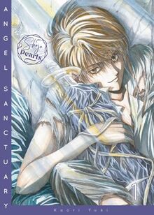 Angel Sanctuary Pearls 1: Kaori Yukis Gothic- & Dark-Fantasy-Manga als schicke Neuedition! (1)