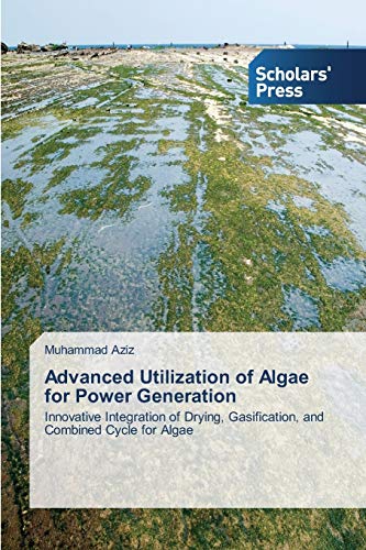 Advanced Utilization of Algae for Power Generation: Innovative Integration of Drying, Gasification, and Combined Cycle for Algae