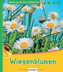 Wiesenblumen