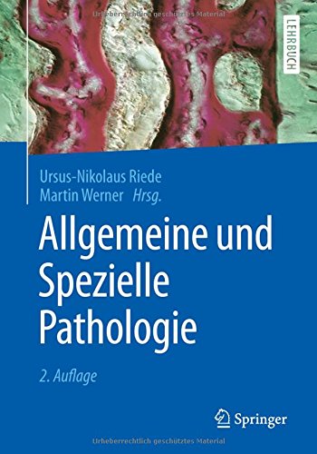 Springer-Lehrbuch   Allgemeine und Spezielle Pathologie Kartoniert (TB)