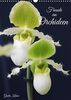 Freude an Orchideen (Wandkalender 2024 DIN A3 hoch): Fantastische Orchideenblüten, gelungen in Szene gesetzt (Monatskalender, 14 Seiten ) (CALVENDO Natur)