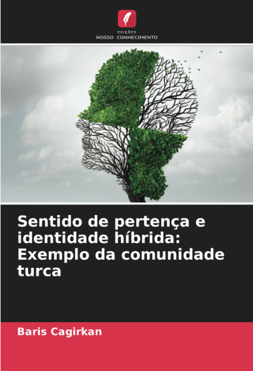 Sentido de pertença e identidade híbrida: Exemplo da comunidade turca