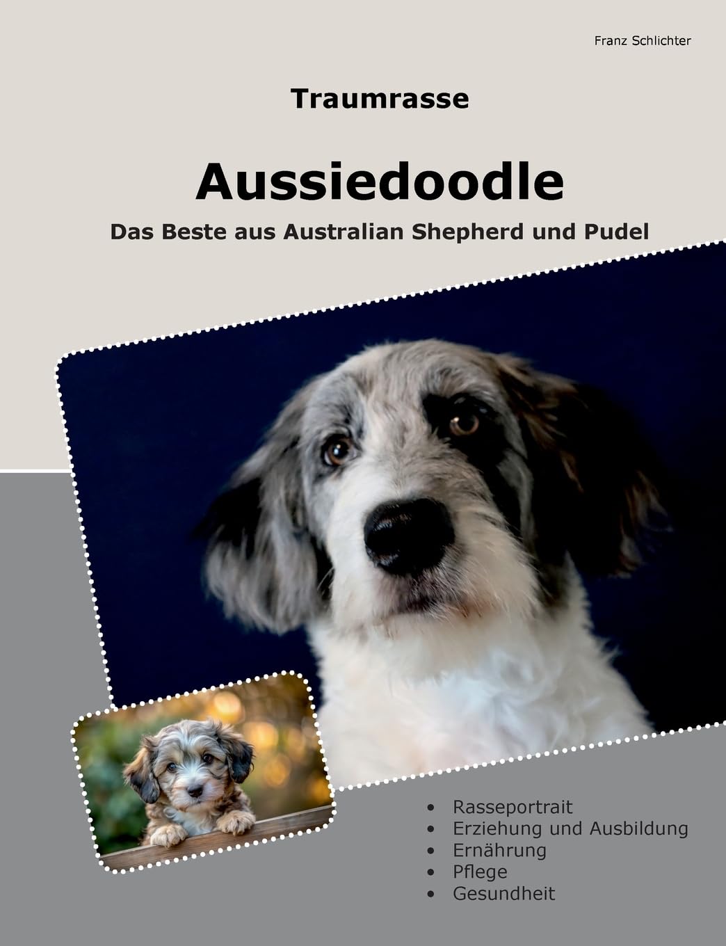 Traumrasse Aussiedoodle: Das Beste aus Australian Shepherd und Pudel