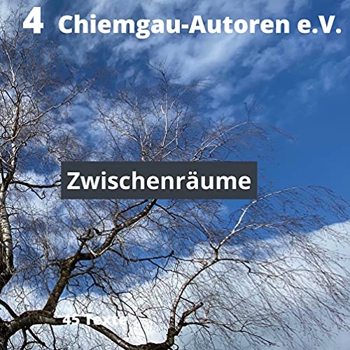 Zwischenräume (Chiemgau Autoren e.V., Band 4)