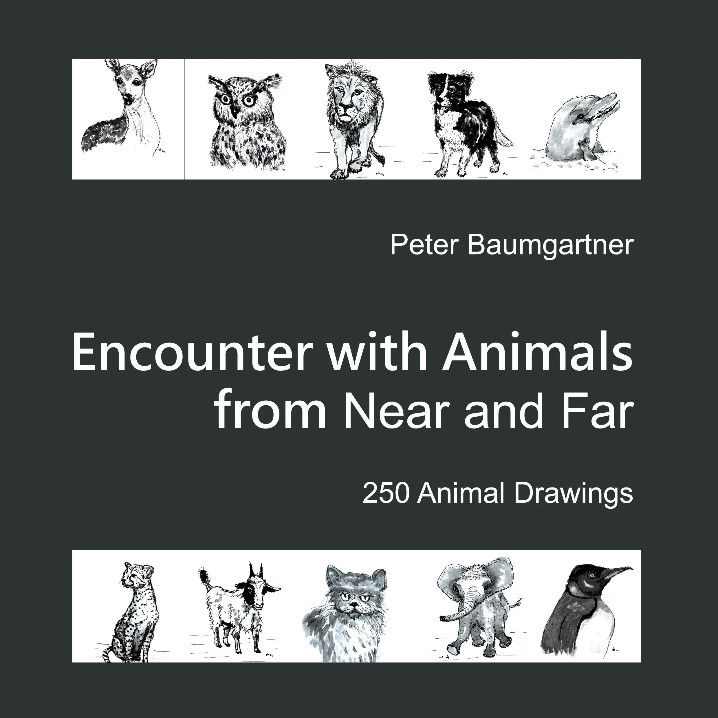 Encounter with Animals from Near and Far: 250 Animal Drawings