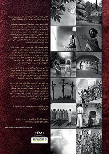 Bible Blossom Storybook, Kurdish: The Unfolding Story of God