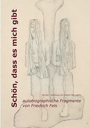 Schön, dass es mich gibt: autobiographische Fragmente von Friedrich Fels