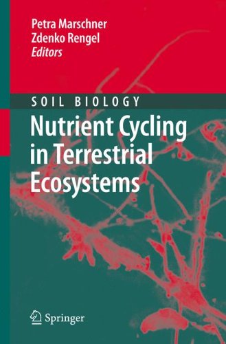 Nutrient Cycling in Terrestrial Ecosystems (Soil Biology)