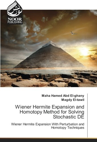 Wiener Hermite Expansion and Homotopy Method for Solving Stochastic DE: Wiener Hermite Expansion With Perturbation and Homotopy Techniques
