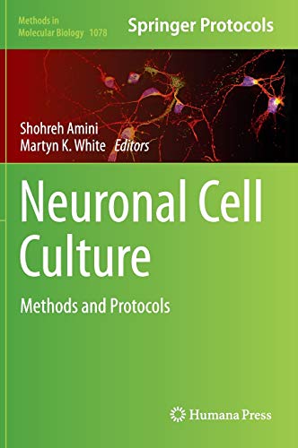 Neuronal Cell Culture: Methods and Protocols (Methods in Molecular Biology, 1078, Band 1078)