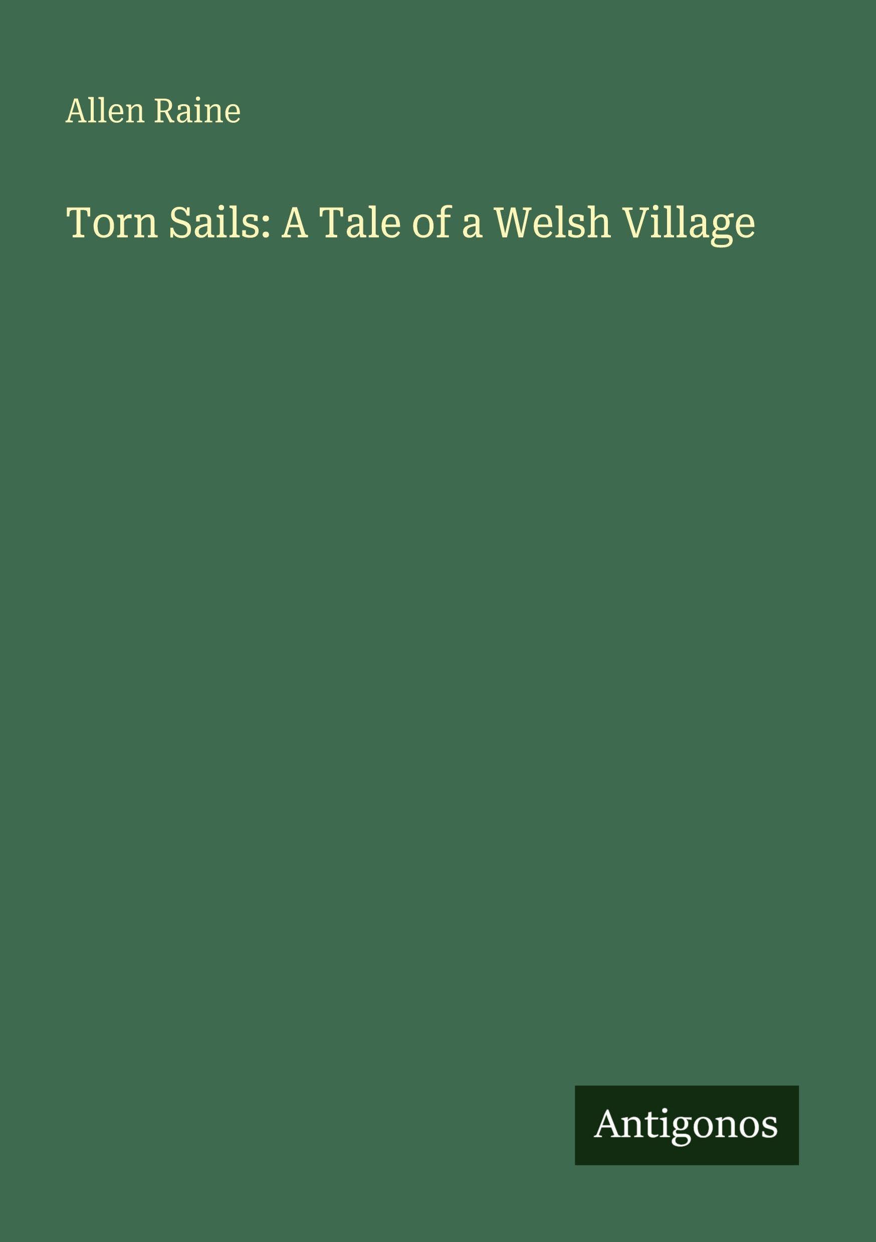 Torn Sails: A Tale of a Welsh Village