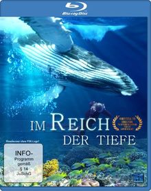 Im Reich der Tiefe [Blu-ray] von Petron, Christian, Raim, Boris | DVD | Zustand gut