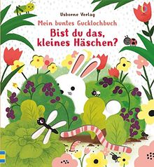 Mein buntes Gucklochbuch: Bist du das, kleines Häschen?: ab 6 Monaten