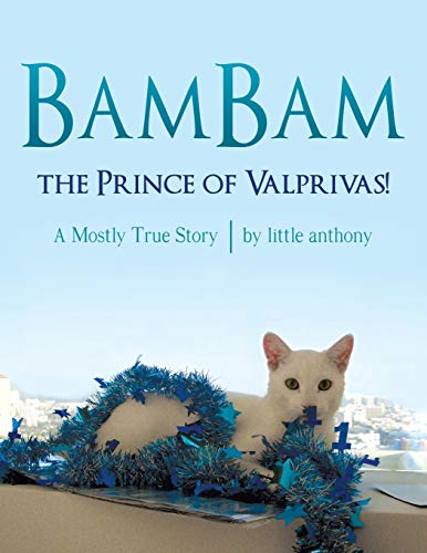 BamBam, the Prince of Valprivas!: A Mostly True Story