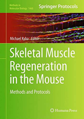 Skeletal Muscle Regeneration in the Mouse: Methods and Protocols (Methods in Molecular Biology)