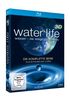 Water Life 3D: Wasser - Die Wiege des Lebens (Die komplette Serie, Alle 26 Folgen auf 4 Discs) [Blu-ray 3D]