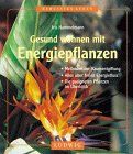 Gesund wohnen mit Energiepflanzen