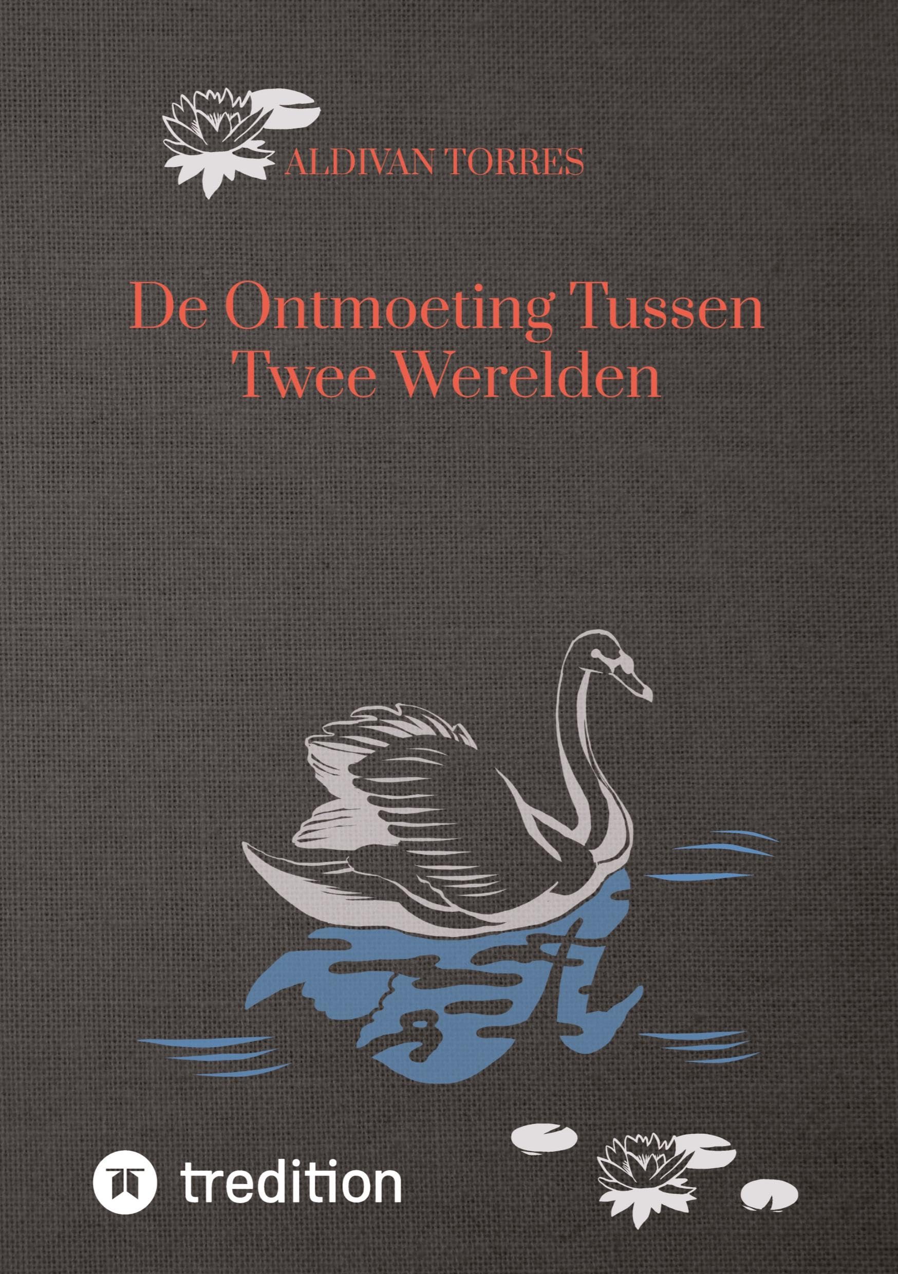 De Ontmoeting Tussen Twee Werelden