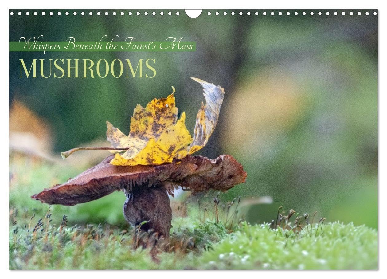 Whispers Beneath the Forest's Moss Mushrooms (Wall Calendar 2026 DIN A3 landscape), CALVENDO 12 Month Wall Calendar: Mystic and mysterious life of mushrooms in the forest (CALVENDO Nature)