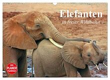 Elefanten in freier Wildbahn (Wandkalender 2023 DIN A3 quer), Calvendo Monatskalender