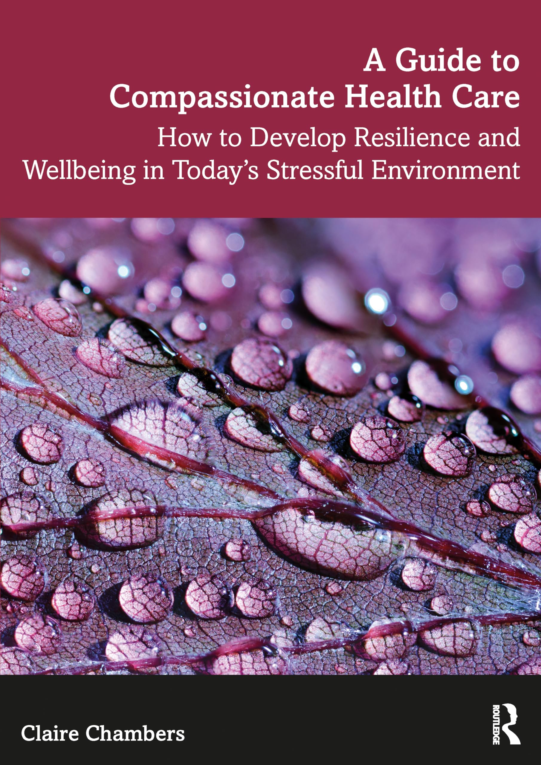 A Guide to Compassionate Healthcare: How to Develop Resilience and Wellbeing in Today's Stressful Environment