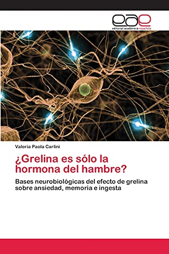 ¿Grelina es sólo la hormona del hambre?: Bases neurobiológicas del efecto de grelina sobre ansiedad, memoria e ingesta