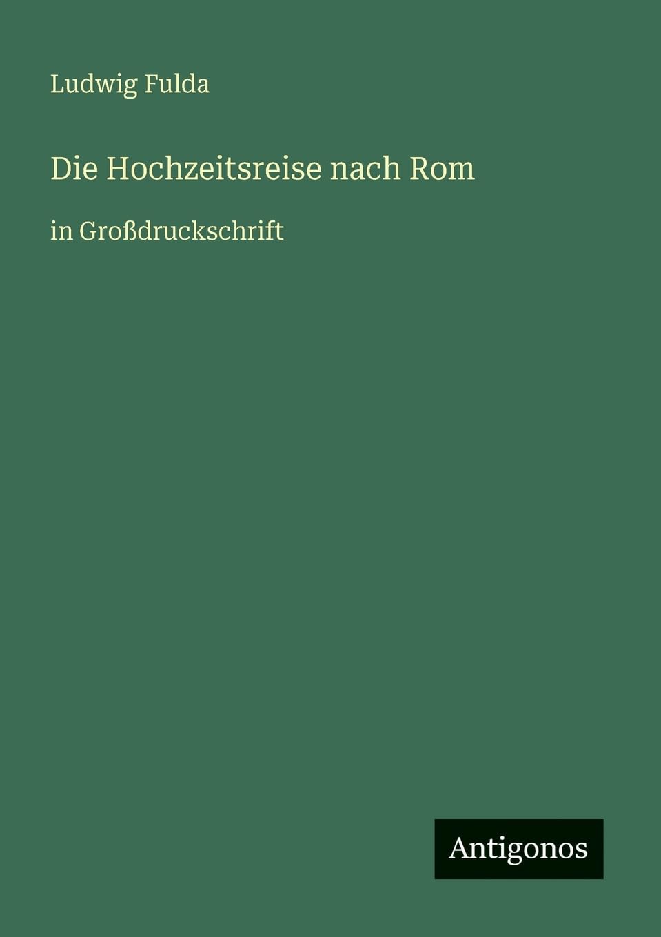 Die Hochzeitsreise nach Rom: in Großdruckschrift