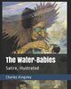 The Water-Babies: Satire, Illustrated