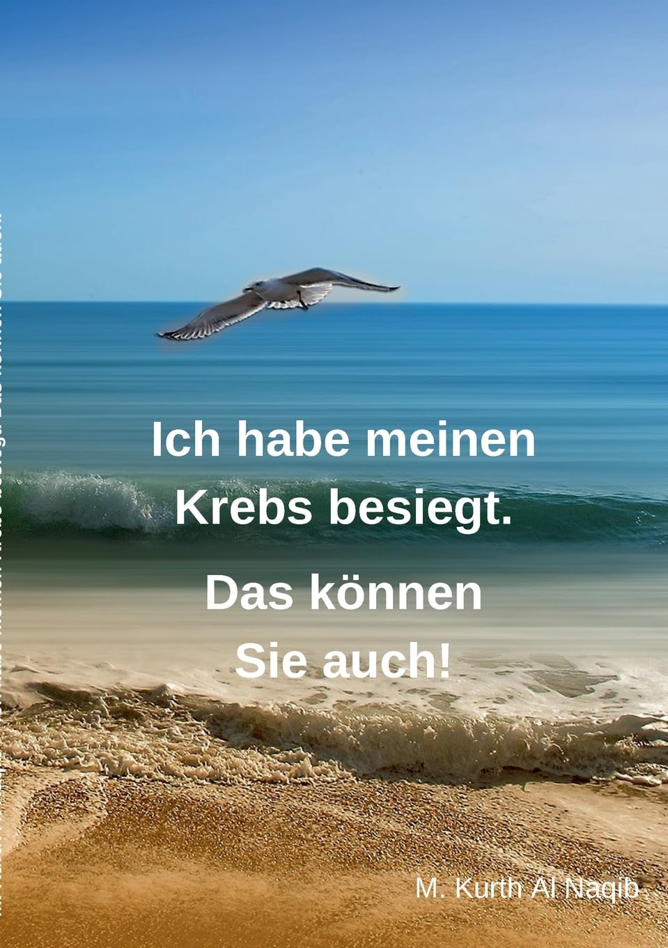Ich habe meinen Krebs besiegt. Das können Sie auch!: 11 Jahre ist es her, dass der Krebs mein altes Leben auf den Kopf stellte. Ich bin seit Jahren frei von Krebs, bin gesund und fühle mich sehr wohl.