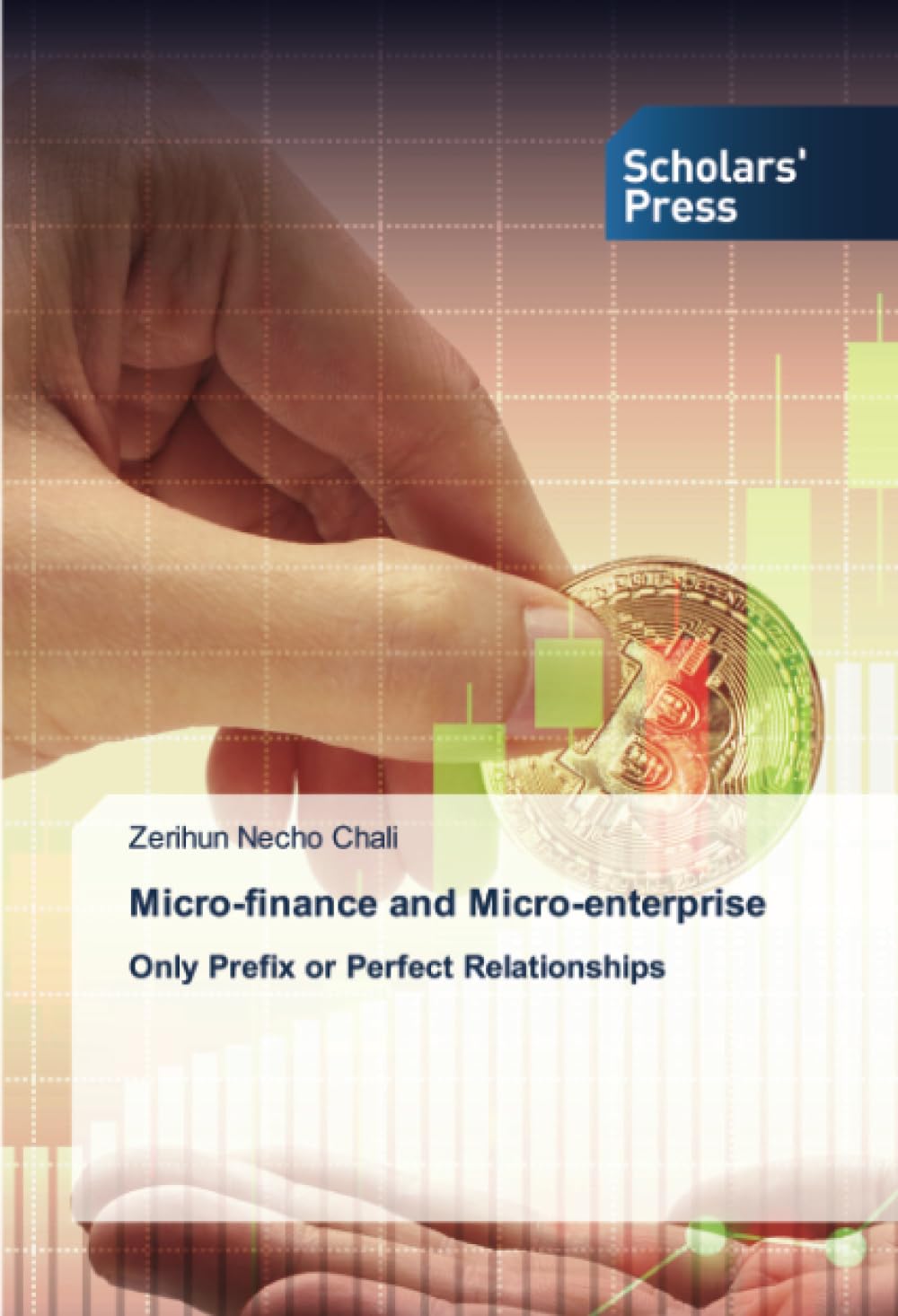 Micro-finance and Micro-enterprise: Only Prefix or Perfect Relationships
