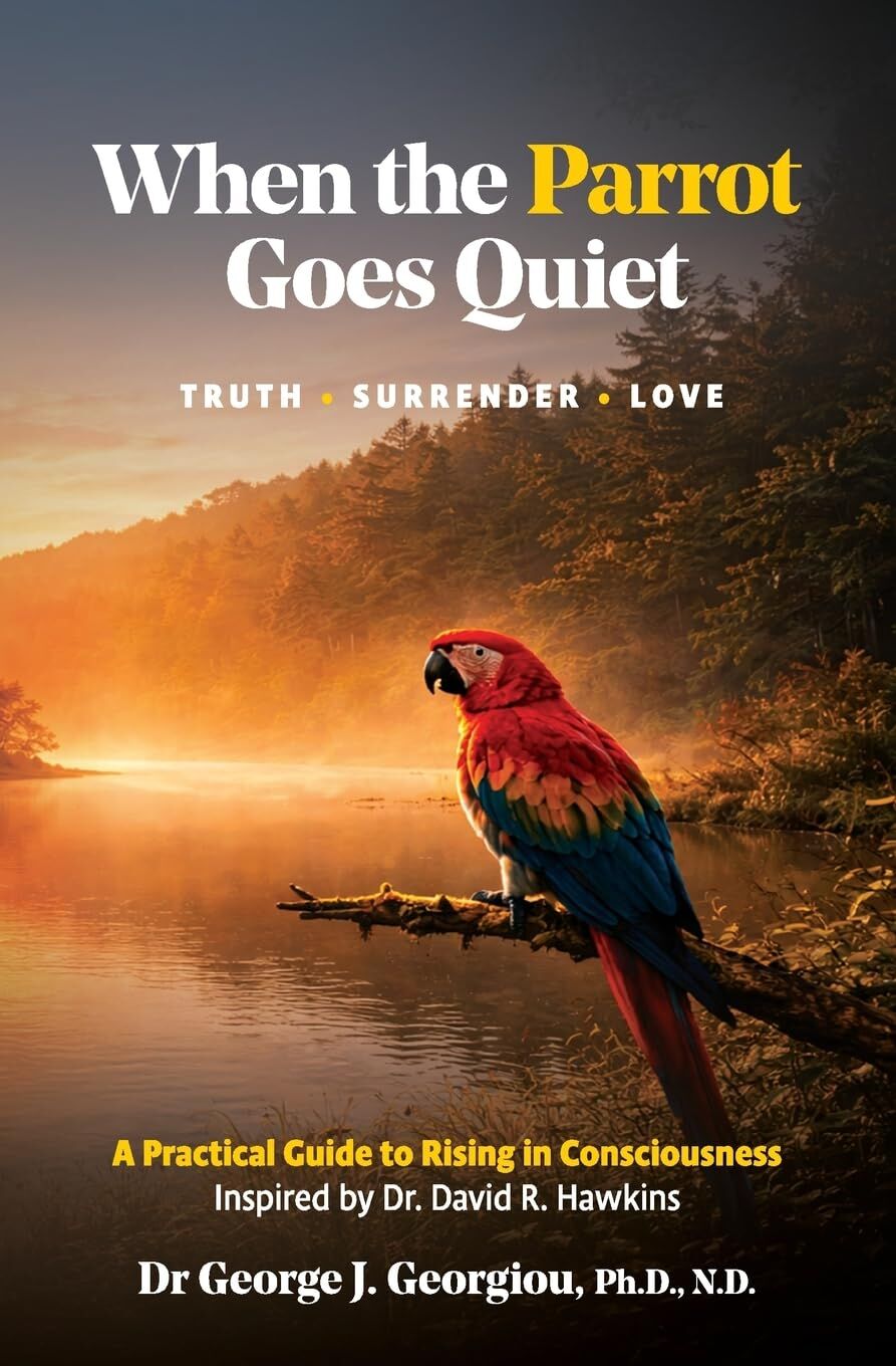 When the Parrot Goes Quiet von Georgiou, George J - Taschenbuch