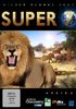 Wilder Planet Erde - Super 7: Africa