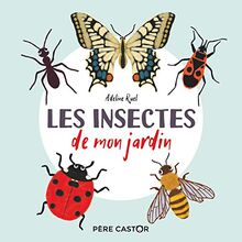 Les insectes de mon jardin