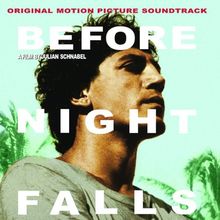 Before Night Falls von Ost | CD | Zustand sehr gut