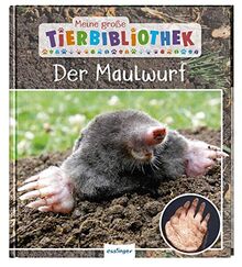 Der Maulwurf (Meine große Tierbibliothek)