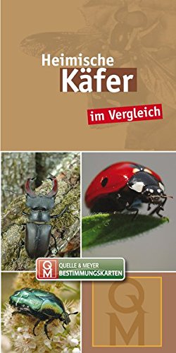 Heimische Käfer: im Vergleich (Quelle & Meyer Bestimmungskarten)