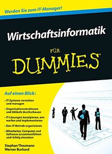 Wirtschaftsinformatik für Dummies (Fur Dummies)