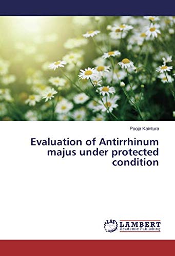 Evaluation of Antirrhinum majus under protected condition