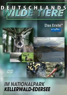 Deutschlands wilde Tiere - Kellerwald-Edersee